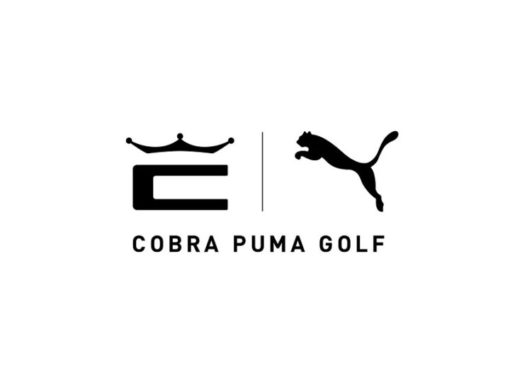 Cobra Puma Golf recherche un responsable marketing