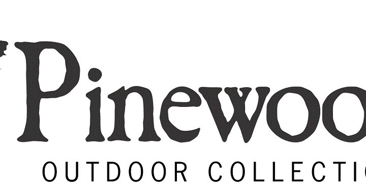 Pinewood recherche des agents commerciaux